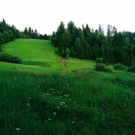 Domek W Gorach Pod Rysianka Zlatna Exteriör bild