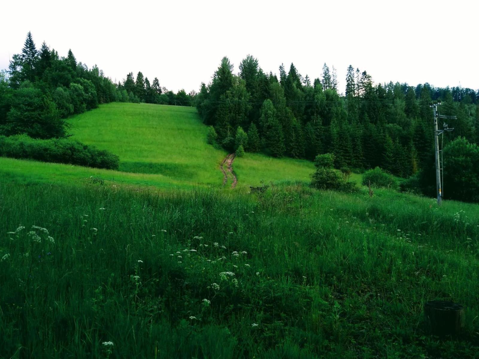 Domek W Gorach Pod Rysianka Zlatna Exteriör bild
